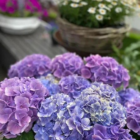 Moments Alojamento de Acomodação e Pequeno-almoço Schagen