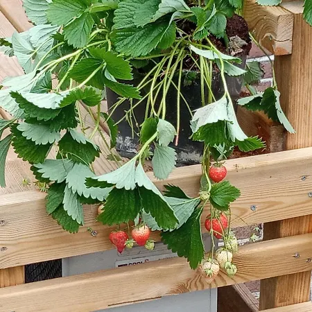 Panzió Moments Schagen