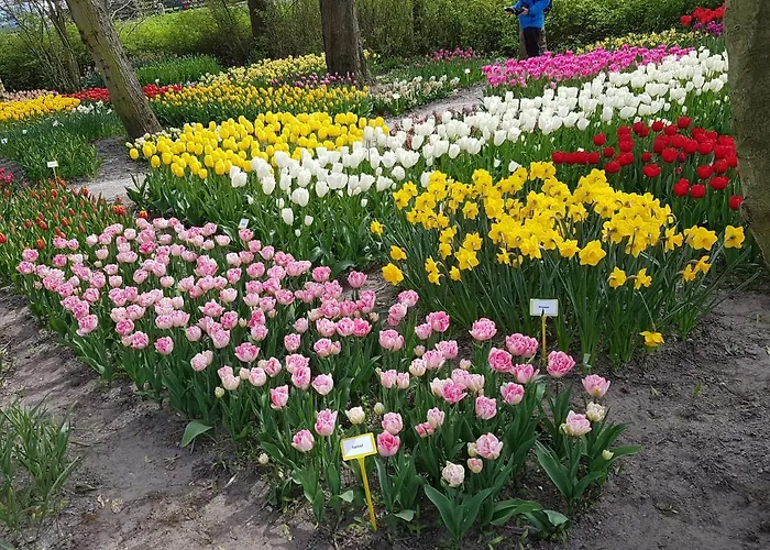 Frühstückspension Moments Schagen