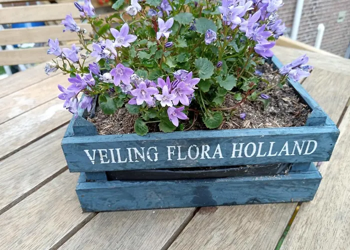 Frühstückspension Moments 3*