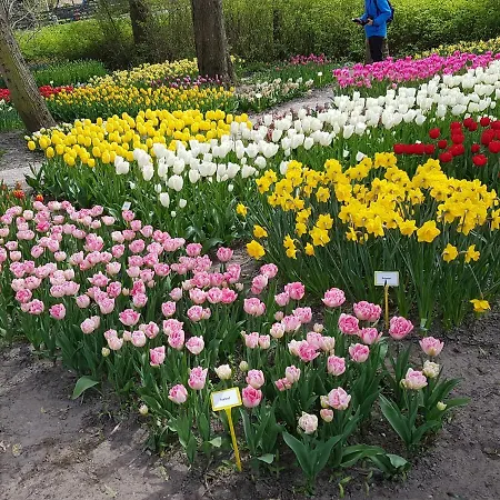 Bed and Breakfast Moments Schagen