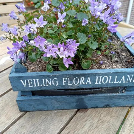 Bed and Breakfast Moments 3*