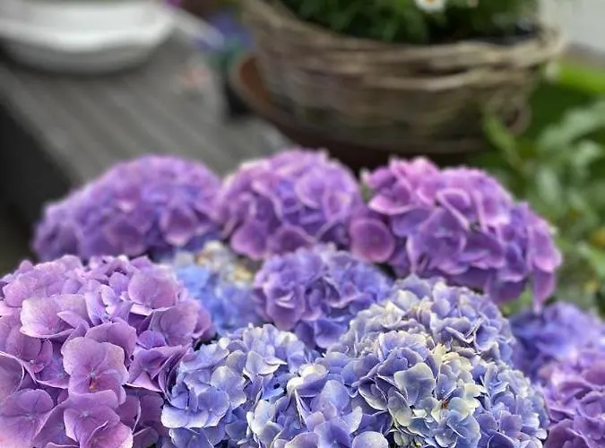 Moments Bed and Breakfast Schagen